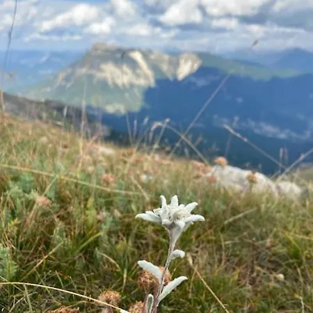 Maison De Village Provencale Vakantiehuis Ubraye