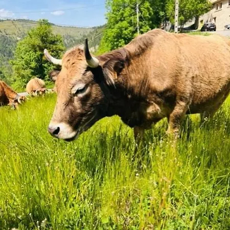 Maison De Village Provencale Vakantiehuis *