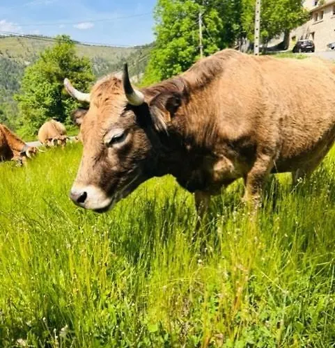 Maison De Village Provencale Dom wakacyjny *